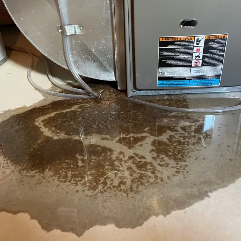 Pipe Burst and Leak Restoration in Cushing, ME